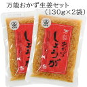 高知県産の生姜で作った 万能おかず生姜 2個セット /1,000円ポッキリ ご飯のお供 しょうが