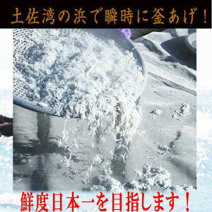 釜揚げちりめん（しらす）1500g　鮮度日本一を目指します！浜で瞬時に釜出　高知浜改田の無…...:moritokuzo:10000672