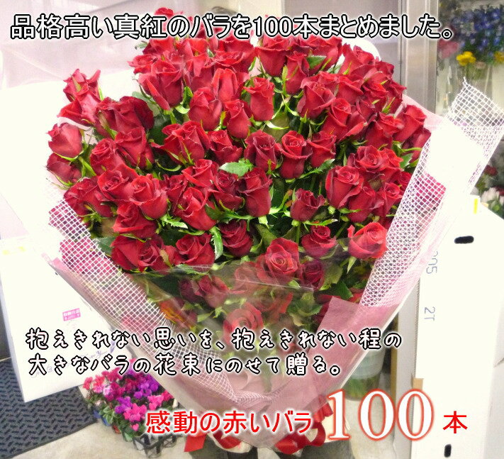【送料無料】赤いバラ100本の花束☆ハイグレードの深紅バラ！！国産の薔薇の中でも極上の産地を特選し、選び抜いた赤バラをセンスよく束ねました。