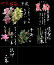 切花福袋(洋風:黒船)お正月限定、蘭が入る上質な切花セットで...