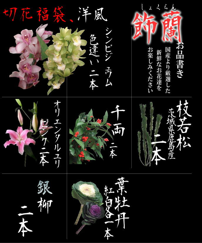 切花福袋（洋風：飾蘭）お正月限定、蘭が入る上質な切花セットです♪持ちが違う切り花を是非お試…...:moriyahana:10000083