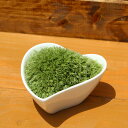 プチモスハート 苔盆栽 苔インテリア 盆景 苔 こけ コケ