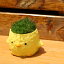 Moss head(モスヘッド)ヒヨコ 苔盆栽 苔インテリア 盆景 苔 こけ コケ