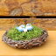 鳥シリーズ ゛和みの苔の巣” 苔盆栽 苔インテリア 盆景 苔 こけ コケ