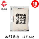 【お米】山形県産はえぬき 10kg 【おこめ】【伊丹米】