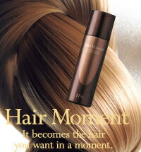 100名限定本品　ヘアーモーメント　Hairmoment ヘアモーメント　クイック増毛スプレー　エビス(EBIS)ヘアーモーメント　クイック増毛スプレー　