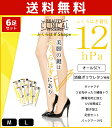 送料無料6枚セット BEAUTY CLINICAL ビューテ...