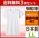 送料無料3枚セット 快適工房 やさしい温もり 遠赤スキンケア 半袖丸首Tシャツ LLサイズ 日本製 グンゼ GUNZE 通販 防寒 グンゼ GUNZE | メンズ 紳士 男性 セット アンダーシャツ 半袖インナー インナー 肌着 メンズインナーシャツ インナーシャツ 綿 綿100% コットン
