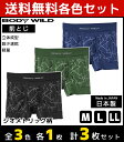 3色1枚ずつ 送料無料3枚セット BODYWILD ボディワ...