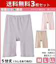 送料無料3枚セット やさしさ物語 やわらか裏起毛 5分丈ボトム あて布付き Mサイズ Lサイズ LLサイズ グンゼ GUNZE 綿100% | 下着 肌着 女性 婦人 レディース レディースインナー 婦人肌着 女性下着 婦人下着 アンダーウェア アンダーウエア ボトムス