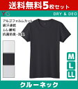 送料無料5枚セット YG ワイジー DRY ドライ 吸汗速乾...