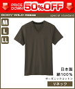 50%OFF BODYWILD ボディワイルド PREMIUM プレミアム VネックTシャツ 半袖V首 グンゼ GUNZE ボディーワイルド BODY WILD | メンズ 綿100% インナーシャツ 下着 肌着 tシャツ メンズインナー 紳士 ブイネック インナー メンズ肌着 男性下着 紳士肌着 訳あり 半額以下