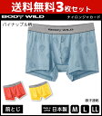 送料無料3枚セット BODYWILD ボディワイルド ボクサーブリーフ 前とじ グンゼ GUNZE ボクサーパンツ 日本製 ボディーワイルド BODY WILD | メンズ ブリーフ ボクサー パンツ 男性下着 メンズ下着 インナー 下着 メンズパンツ下着 ボディ ワイルド ブランド 彼氏 プレゼント