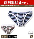 送料無料3枚セット BODYWILD ボディワイルド PREMIUM プレミアム ブリーフ 前とじ 3Lサイズ グンゼ GUNZE パンツ 日本製 ボディーワイルド BODY WILD | メンズ 男性下着 メンズ下着 紳士肌着 インナーウェア アンダーウェア インナー インナーパンツ ショーツ