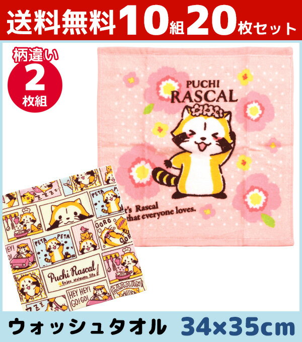 送料無料10組セット 林タオル あらいぐまラスカル ウォッシュタオル おはな アライグマ 2枚組 ハンドタオル キャラクターグッズ 綿 コットン | プチギフト 綿100% 入園祝い 出産祝い 出産内祝い 子供 可愛い おしぼりタオル かわいい ギフト キャラクター