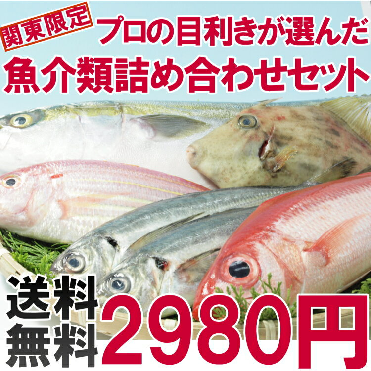 【関東限定・送料無料】プロの目利きが選んだ魚貝類の詰め合わせセット横浜市中央卸売市場に入荷された魚介類をプロの目利きがお客様にかわって目利きします。旬の魚、新鮮な魚、安くて良い魚を中心に詰合せていきます。【送料無料】【関東限定】