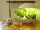 LED水耕栽培器 野菜栽培キット 水耕栽培【サラダ菜種子・液肥・培地スポンジの3点セット付属】 ハーブ レタス クレソン バジル