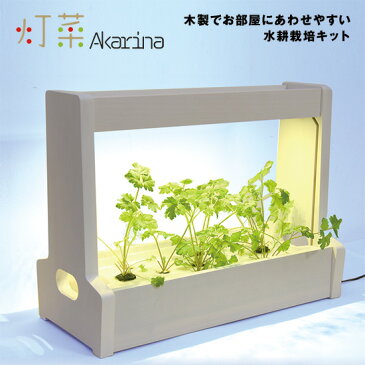 LED水耕栽培器 《クレソン ハーブ バジル ルッコラ》灯菜 Akarina06 LED MotoM オリンピア照明 LED野菜栽培キット 室内栽培キット 家庭栽培キット 水耕栽培器 家庭用 家庭菜園 卓上栽培 Hydroponics 水耕栽培 LED