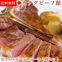 数量限定 送料無料 仔牛のTボーンステーキ2枚セット Tボーンステーキ ヒレステーキ 牛肉 ヒレ ステーキ肉 赤身肉 骨付き 厚切り ステーキ 贈り物 ギフト お祝い プレゼント BBQ 食材 キャンプ お花見 パーティ