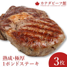 【ご好評につき特別セット継続中】 <strong>ステーキ</strong> 肉 牛肉 赤身 <strong>ステーキ</strong>肉 バーベキュー 食材 熟成肉 贈り物 ギフト お祝い プレゼント 食材 冷凍食品 1ポンド<strong>ステーキ</strong><strong>3枚</strong>セット お取り寄せ グルメ