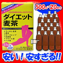 【HIKARI】ダイエット麦茶　2.5g×20袋入