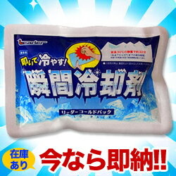 ☆今なら即納！【日進医療器】叩いて冷やす！瞬間冷却剤「リーダーコールドパック」（携帯用）