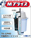 【パナソニック】ポット型ミネラル浄水器専用 交換用ろ過カートリッジ 2個入り（TK-CP21C2）※お取り寄せ商品