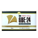 【12/1(火) Pt7倍!】特報!なんと!あのGBE-24フォルテ 60粒 (イチョウ葉エキスが1粒あたり120mg!) が~“お一人さま1個限定”でお試し特価!※お取り寄せ商品【RCP】【02P03Dec16】
