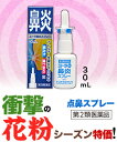 【第2類医薬品】【衝撃の秋花粉対策!】特報!なんと!あの【ノ...
