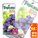 .¡Ú2¥±¡¼¥¹¡Û ¥¥ê¥ó ¥È¥í¥Ô¥«¡¼¥Ê 100%¥¸¥å¡¼¥¹ ¥°¥ì¡¼¥× »æ¥Ñ¥Ã¥¯250ml¡ß24ËÜÆþ¡ß2¥±¡Ý¥¹¡§¹ç·×48ËÜ ¡ÚË̳¤Æ»¡¦²Æì¡¦Î¥ÅçÇÛÁ÷ÉÔ²Ä¡Û ¡ÎHF¡Ï
