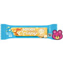 【全国送料無料】【メール便】 大塚製薬 SOYJOY クリス...