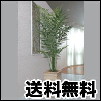  MtgOꌤႢ܂