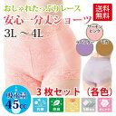 【あす楽】【女性用失禁パンツ 45cc】おしゃれたっぷりレース 安心一分丈ショーツ(3枚セット)3L?4L