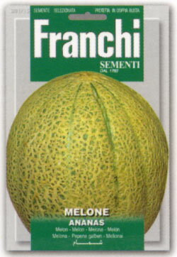 【イタリアの野菜の種】　FRANCHI　イタリアンメロンANANAS種