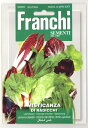 【イタリアの野菜の種】 Franchi社 ミックスラディッキオ (チコリのミックス)