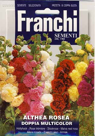 【イタリアの草花の種】　FRANCHI社　ホリホック　ALTHEA ROSEA　ダブル多色