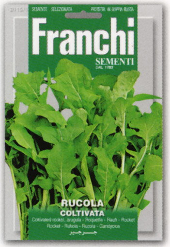 FRANCHI社-イタリア野菜の種　ルッコラ[115/1]