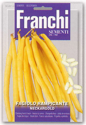 【イタリアの野菜の種】　Franchi社　ツルありインゲン・NECKARGOLD