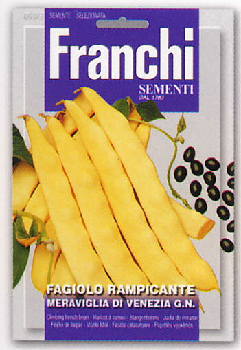 【イタリアの野菜の種】　Franchi社　ツルありインゲン・mer. Di Venezia g.n.　ヴェネツィア