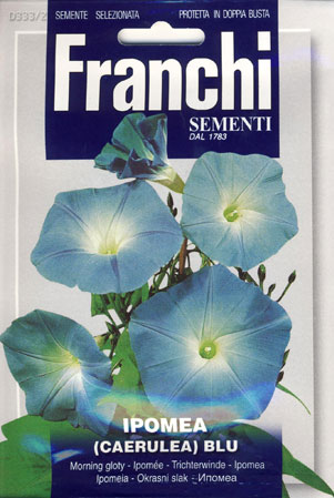 美しい緑のカーテン　FRANCHI社-ヘブンリーブルー　（約160粒）　イタリアの朝顔