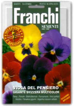 【イタリアの草花の種】　FRANCHI社　パンジー　スイス 大　多色