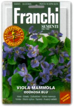 【イタリアの草花の種】　FRANCHI社　ニオイスミレ