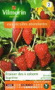 VILMORIN社-フランス野菜の種【イチゴ】四季なりイチゴ・Supremeストロベリー【V-strawberry1】