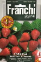 【イタリア野菜の種】FRANCHI社 イチゴ 四季なりいちご63/1