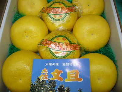 ̵δŤäѤ뤵䤫ʴŻäѤ̽λںʸö3L8