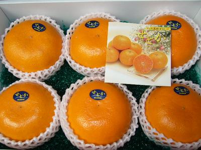 ̵ι鴻̡̣Ťʤ礦˧ᡪɲ֤Ȥ6