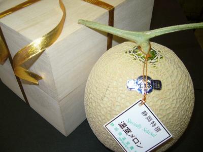 ̵ץ쥼Ȥˤᤷޤʤޤȴ줿ṇ̀ȹŲޥȢ1