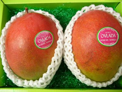 ̵ץ쥼Ȥˤᤷޤٿ٤˺ʤȥԥե롼Ĥνᥭåץޥ󥴡2