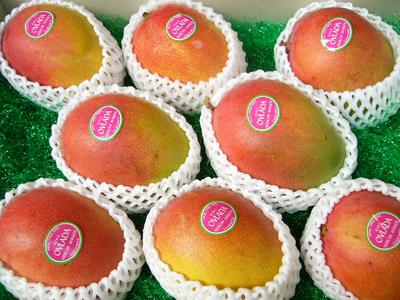 ̵ץ쥼Ȥˤᤷޤٿ٤˺ʤȥԥե롼Ĥνᥭåץޥ󥴡8