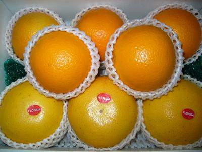 オレンジ＆グレープフルーツ1送料無料！太陽をいっぱいあびたビタミンCたっぷりのヘルシーな詰め合わせ